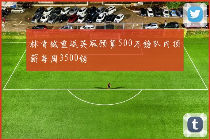 林肯城重返英冠预算500万镑队内顶薪每周3500镑