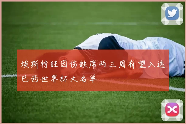 埃斯特旺因伤缺席两三周有望入选巴西世界杯大名单