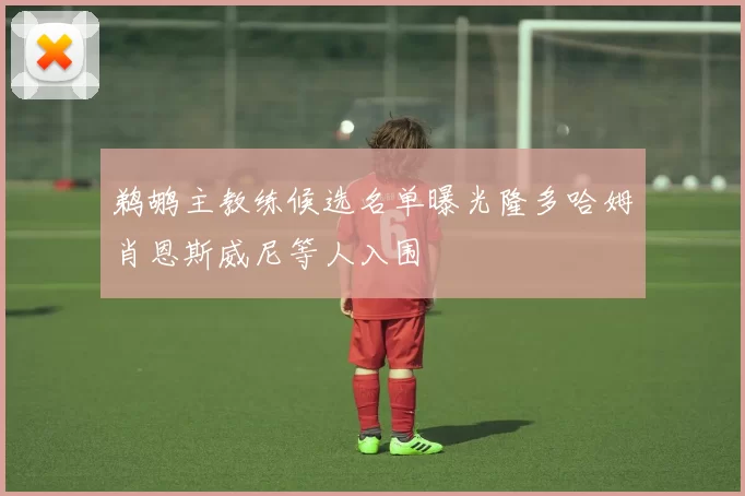 鹈鹕主教练候选名单曝光隆多哈姆肖恩斯威尼等人入围